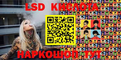 мдпв Кингисепп
