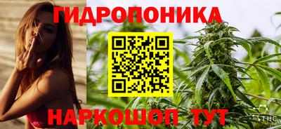 мдпв Кингисепп