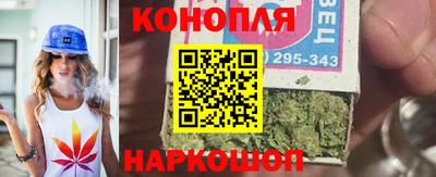 мдпв Кингисепп