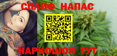 гашик Кинель