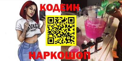 мдпв Кингисепп