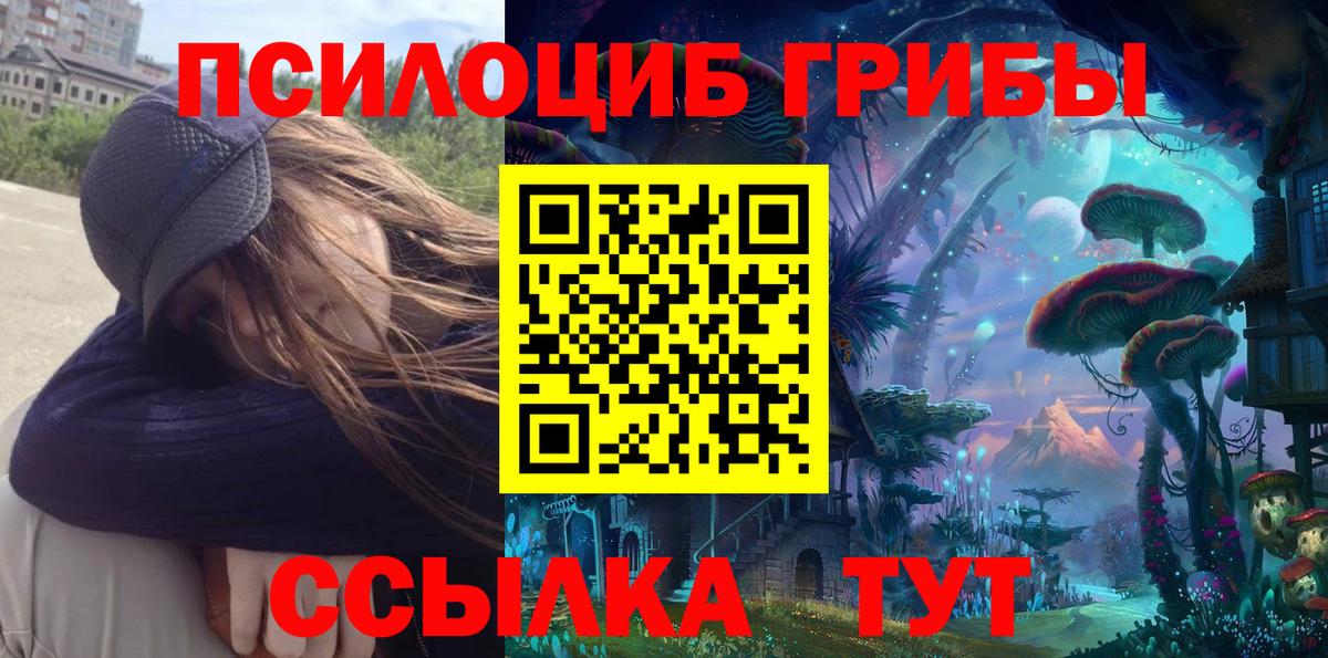 Псилоцибиновые грибы Magic Shrooms  Псилоцибиновые грибы мицелий  Вход с VPN  Костомукша 