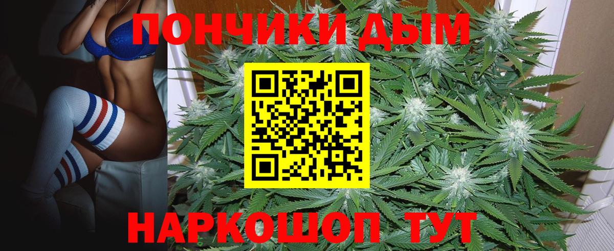 Бошки Шишки марихуана  Конопля Ganja  Бошки Шишки тримм  Вход с VPN  Костомукша 